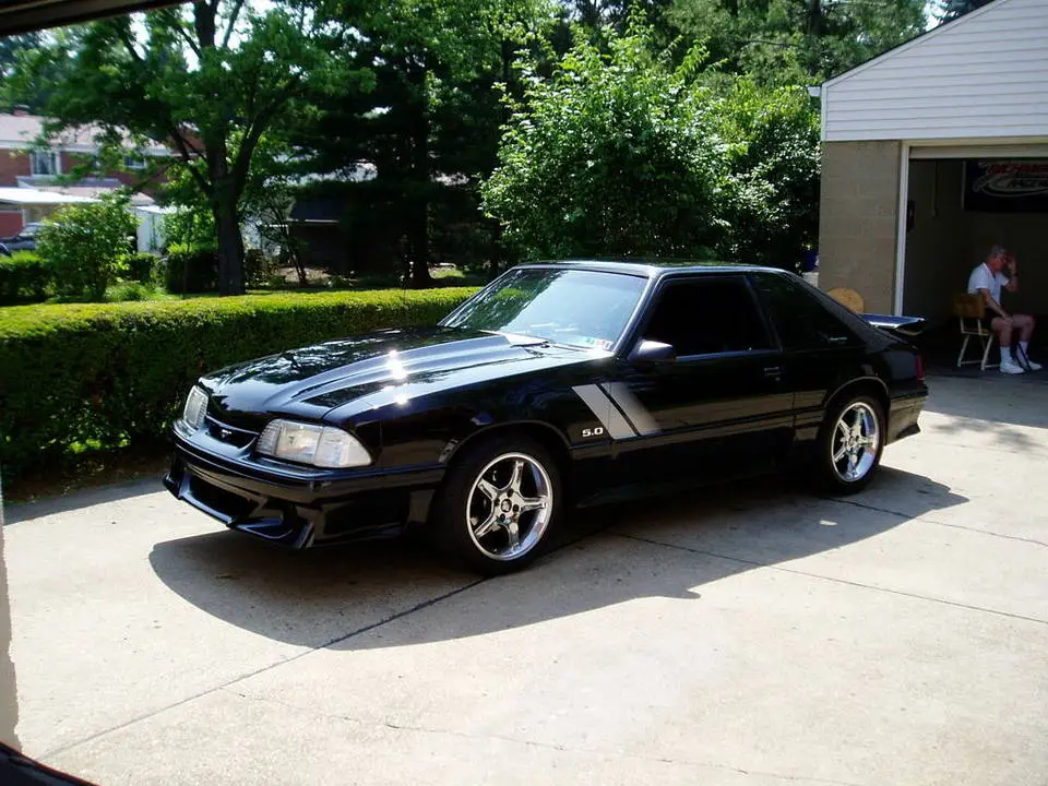 stang2.webp