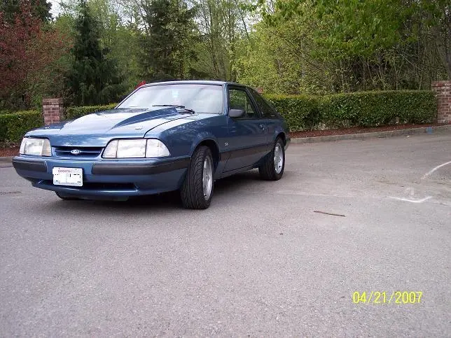 stang2.webp