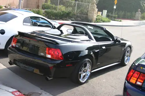 stang2.webp