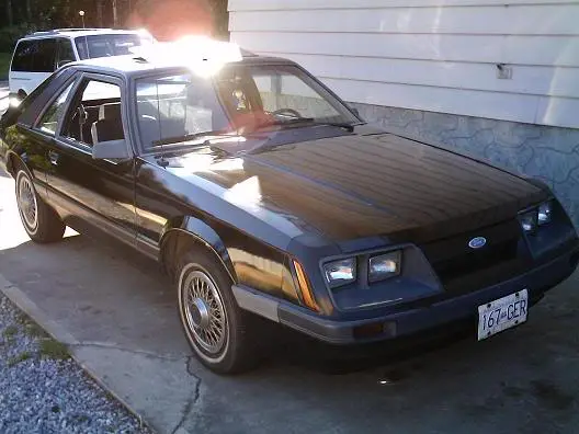 stang2.webp