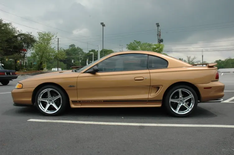 Stang2.webp