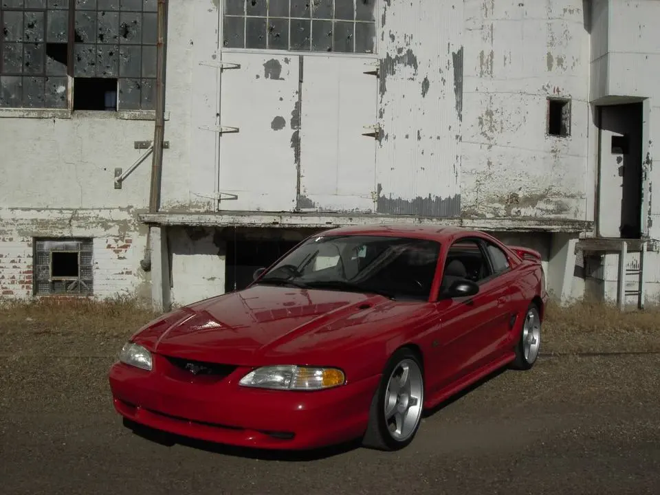 stang2.webp