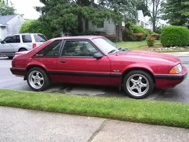 stang2.webp