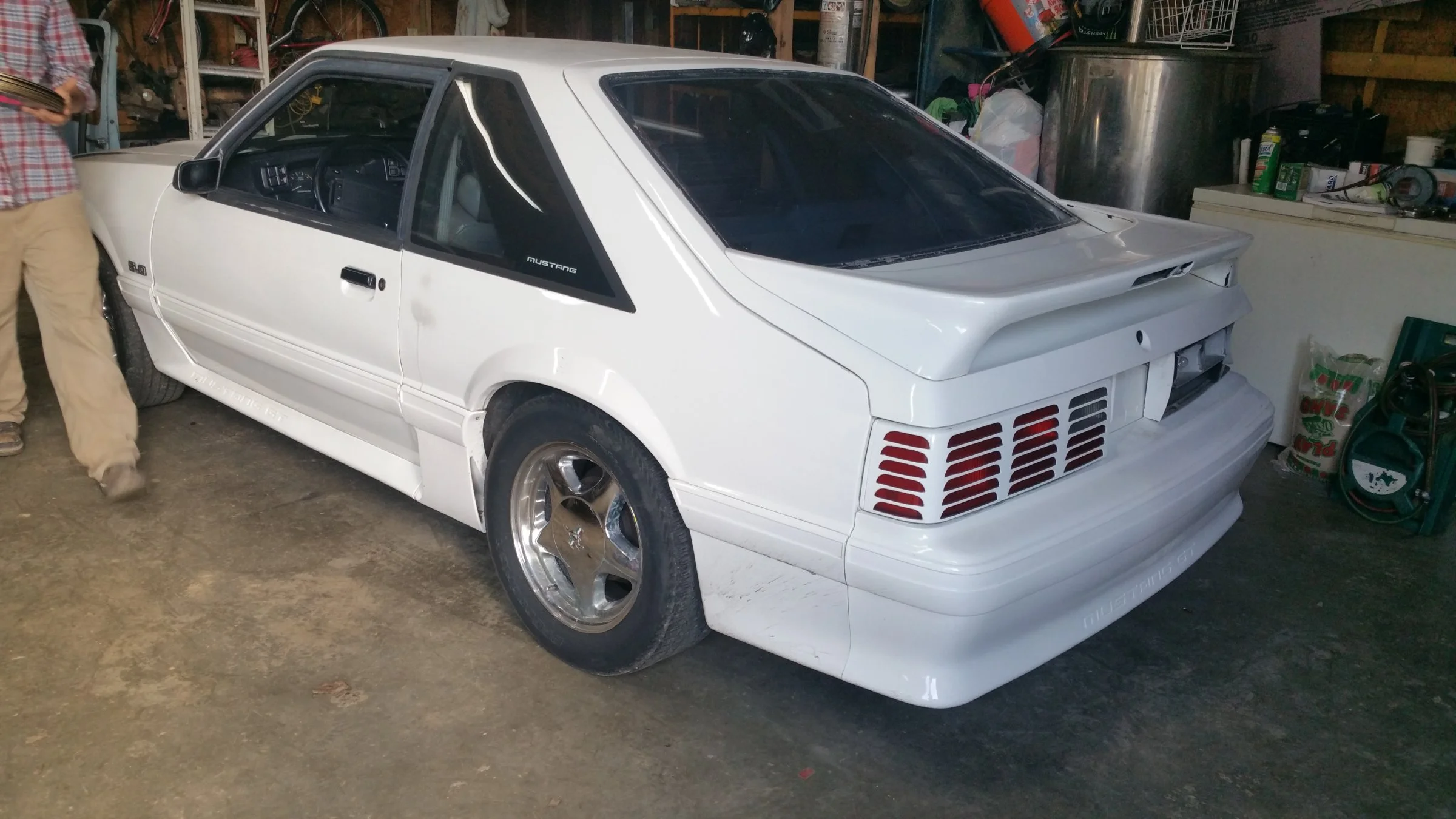 stang2.webp