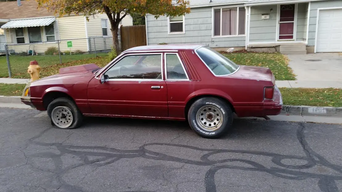 stang2.webp
