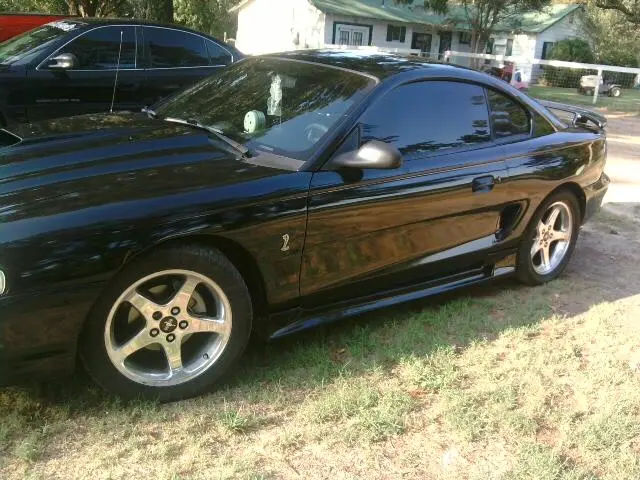 stang2.webp