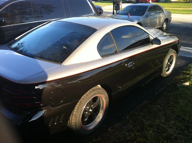 stang2.webp