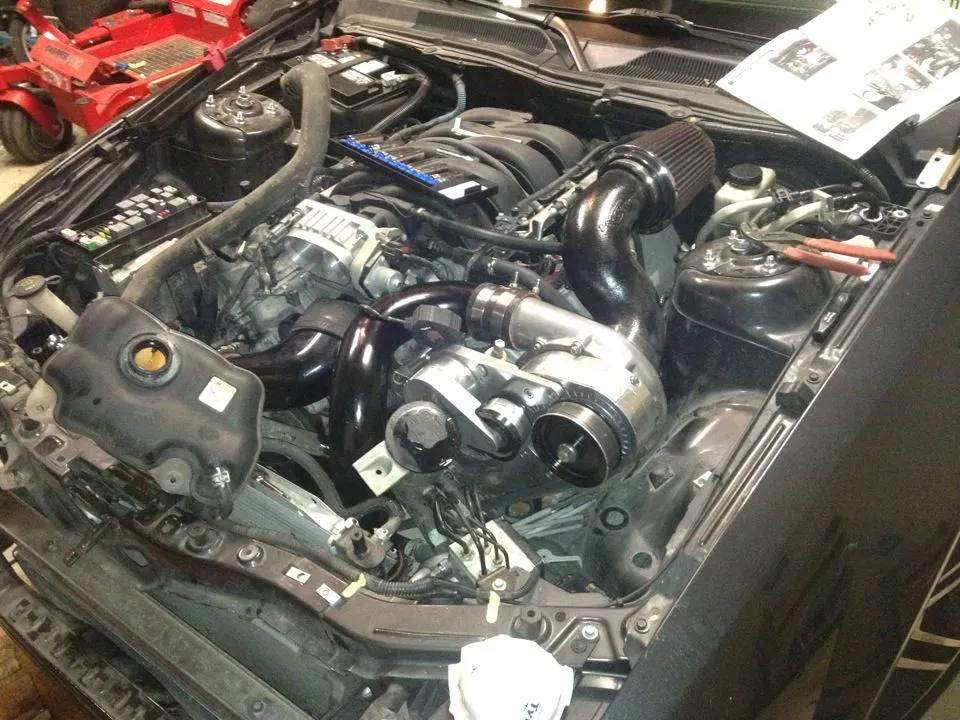 stang2.webp