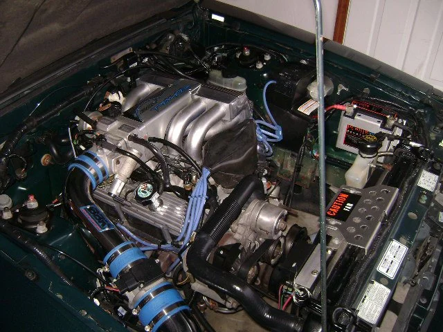 stang2.webp