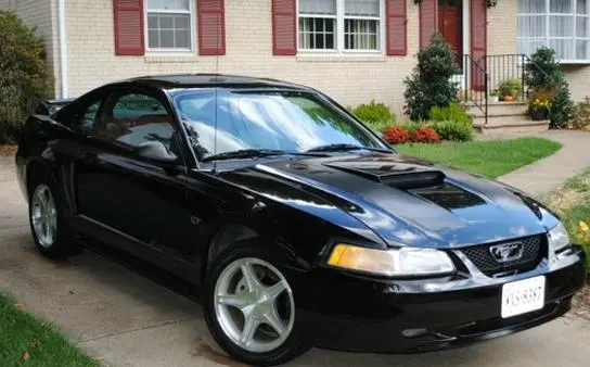 stang2.webp
