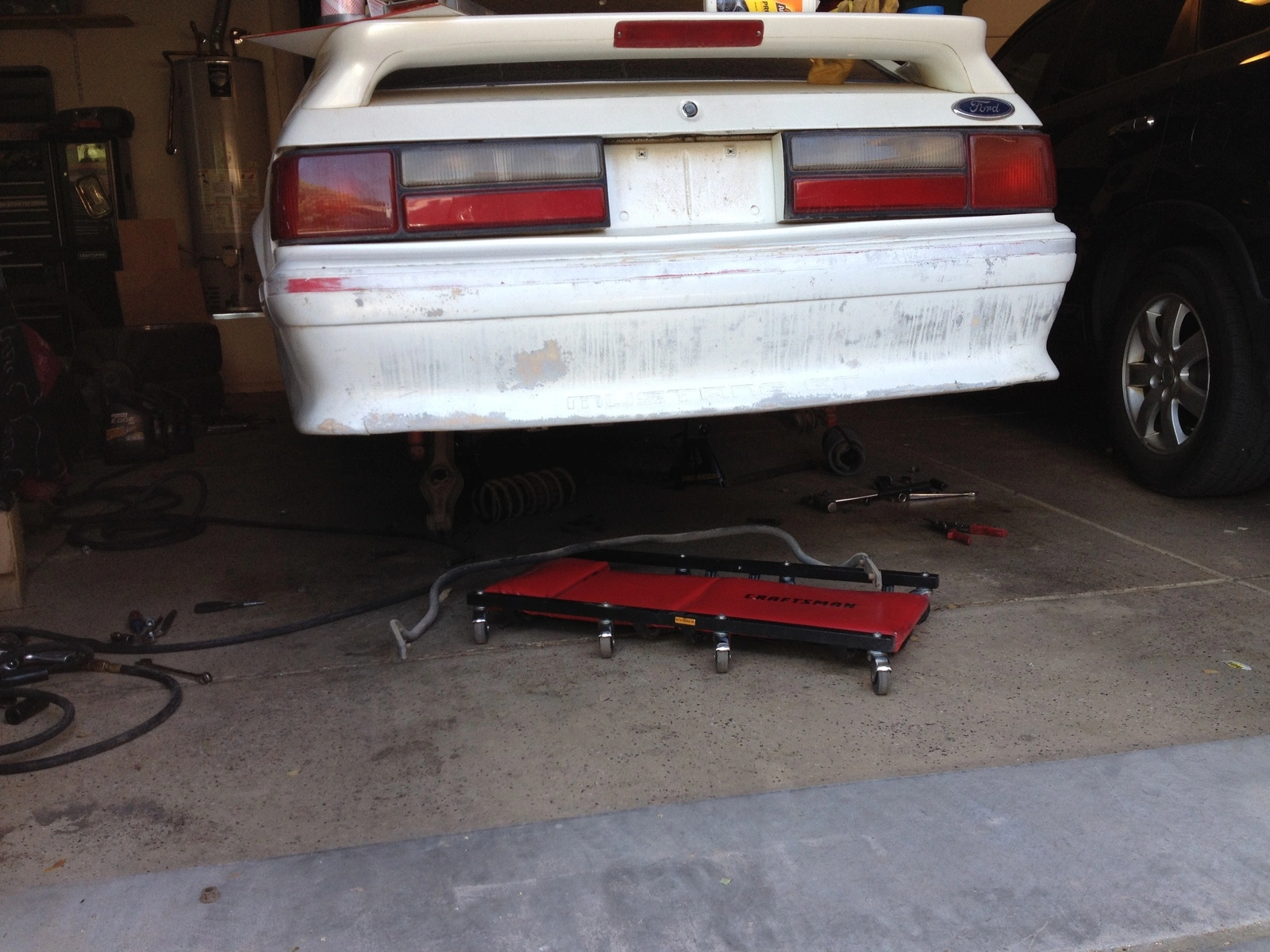 stang2.webp