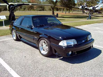 stang22-1_edited.webp
