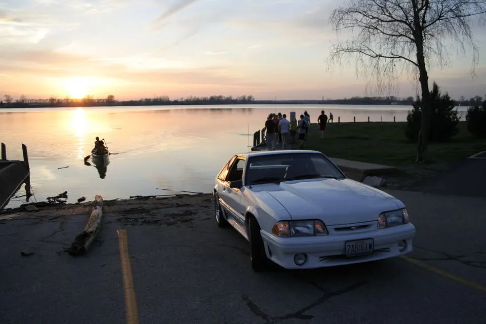 Stang286.webp