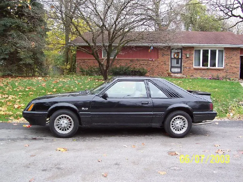stang29.webp