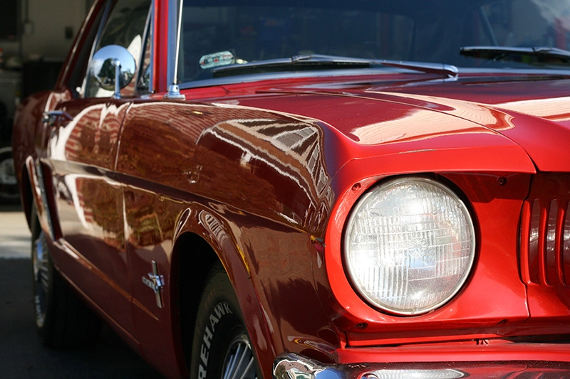Stang2_800.webp