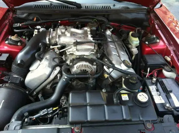 Stang2_zpsdljlqpzq.webp