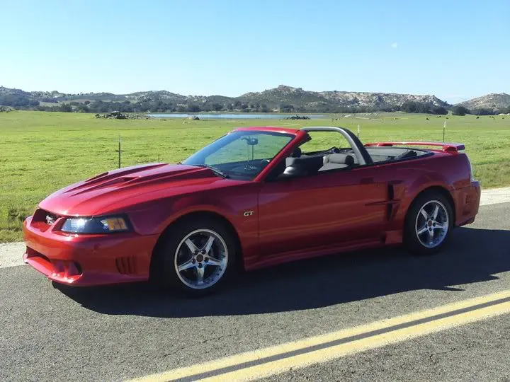 Stang3.webp