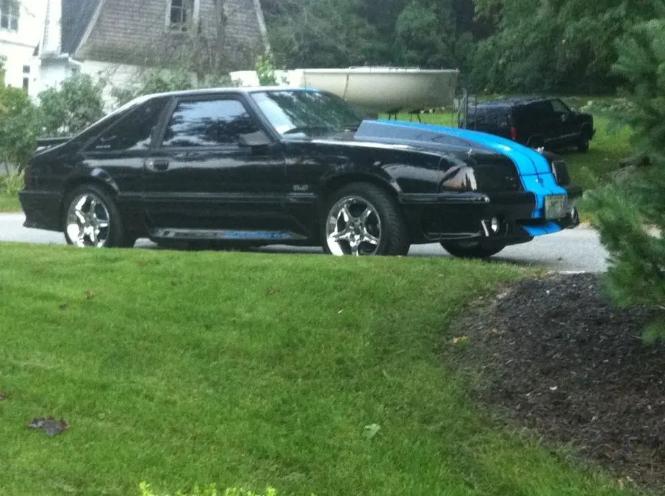 stang3.webp