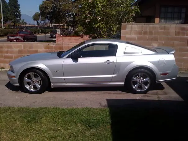 stang3.webp