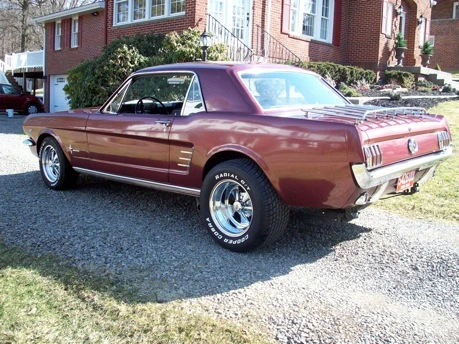 stang3.webp