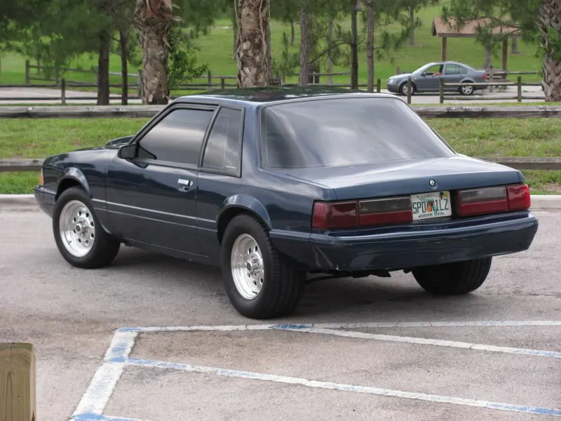 stang3.webp