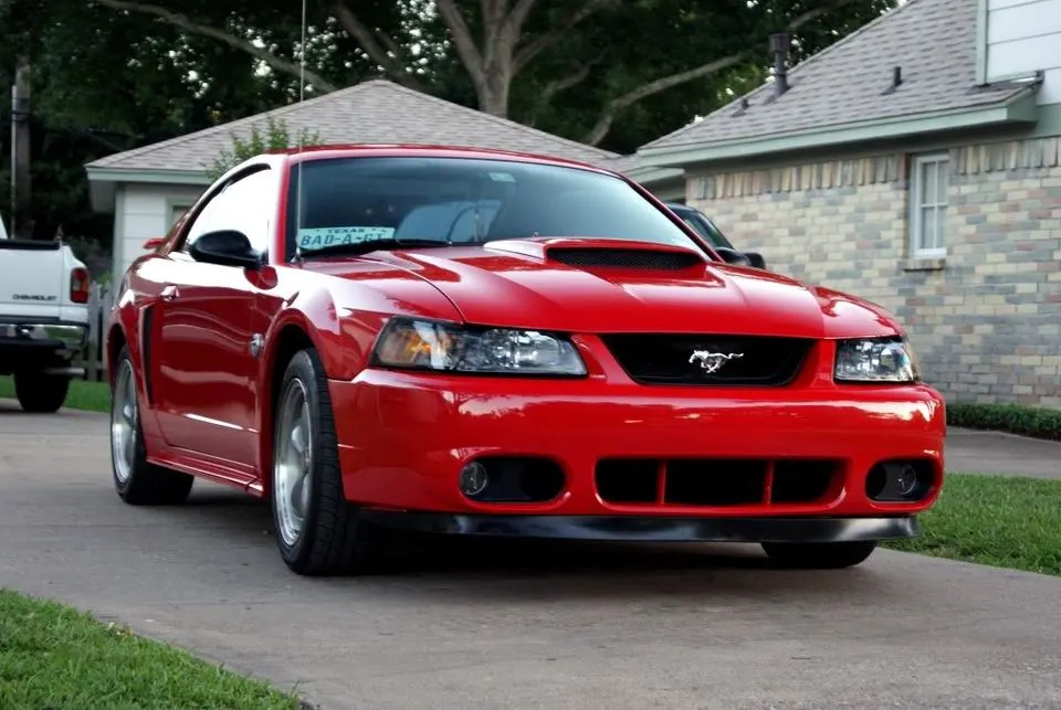 stang3.webp