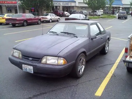 stang3.webp