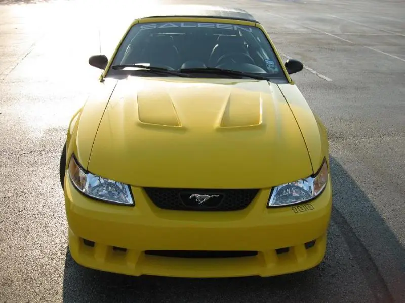 stang3.webp