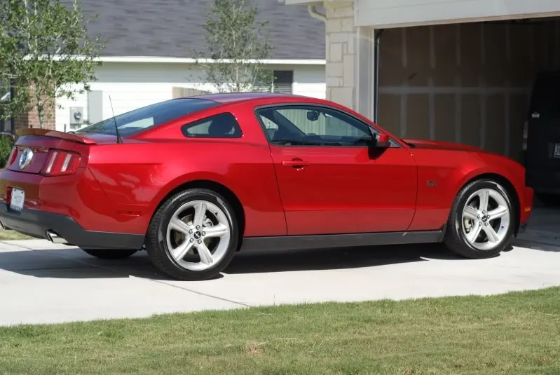 Stang3.webp