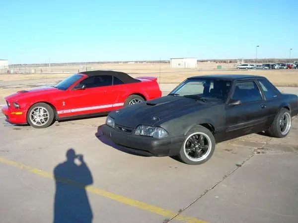 stang3.webp