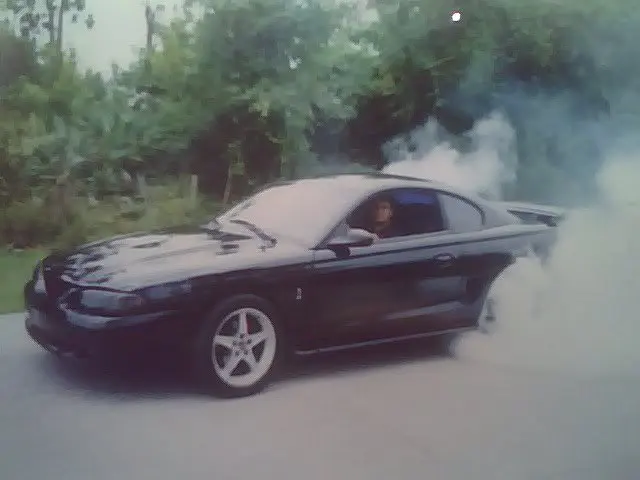 stang3.webp