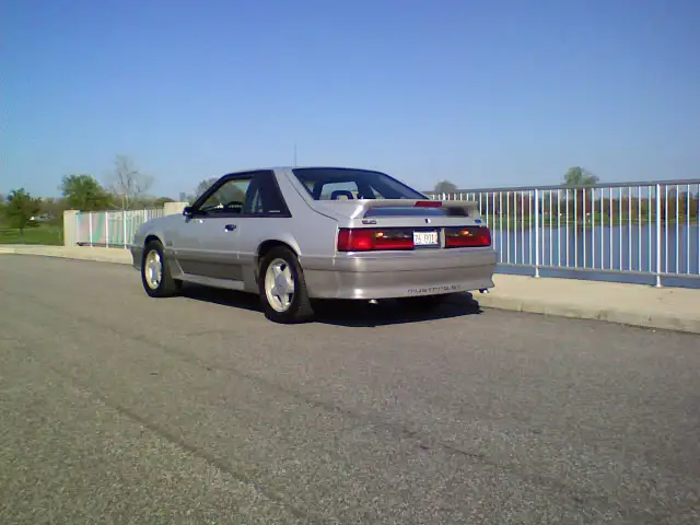 stang3.webp