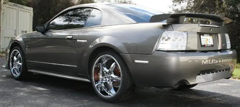 stang3.webp