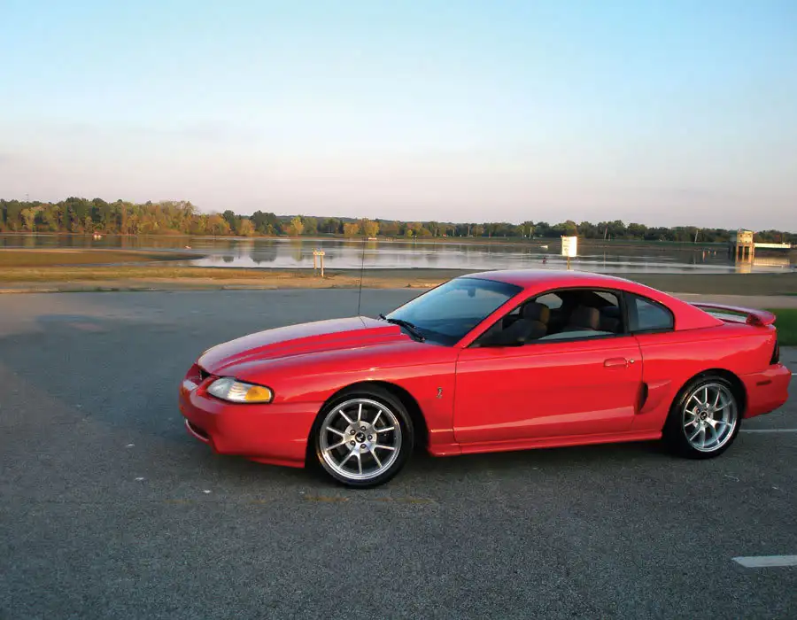 stang3.webp