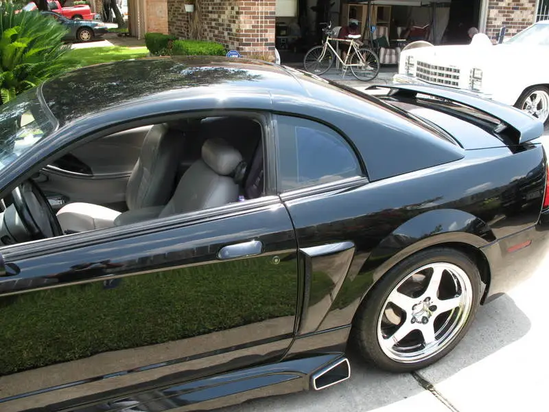 Stang3.webp