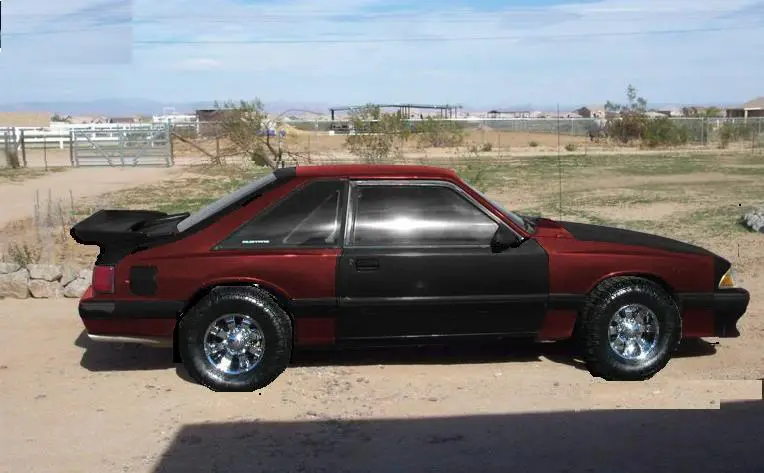 stang3.webp