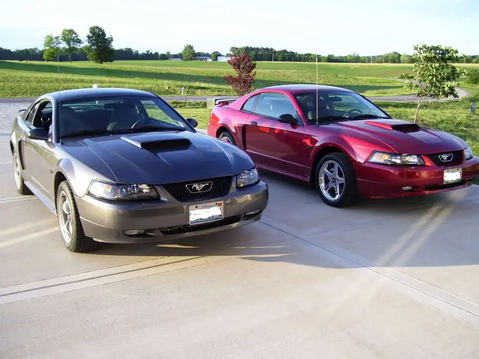 Stang3.webp