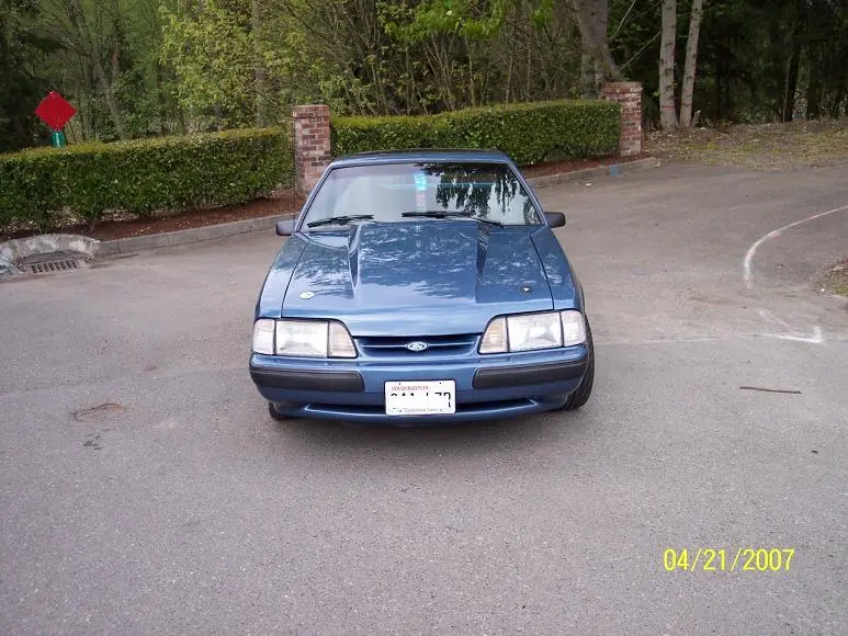 stang3.webp