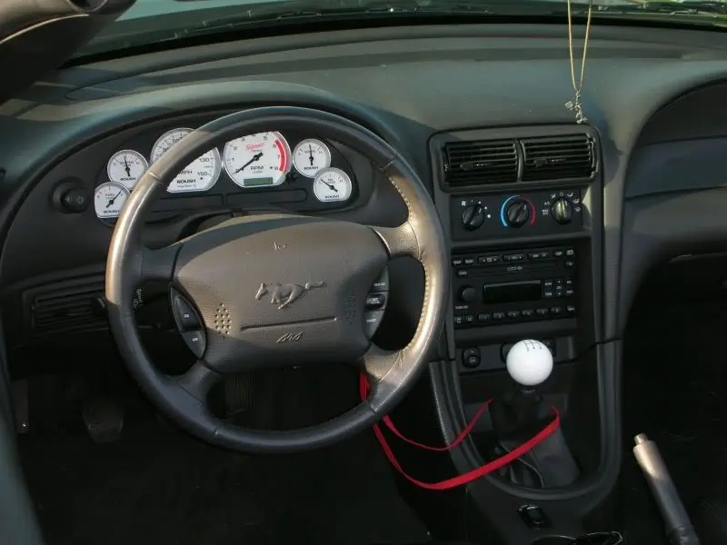 stang3.webp