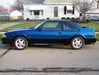 Stang3.webp