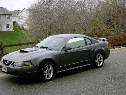 stang3.webp