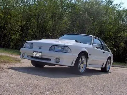stang3.webp