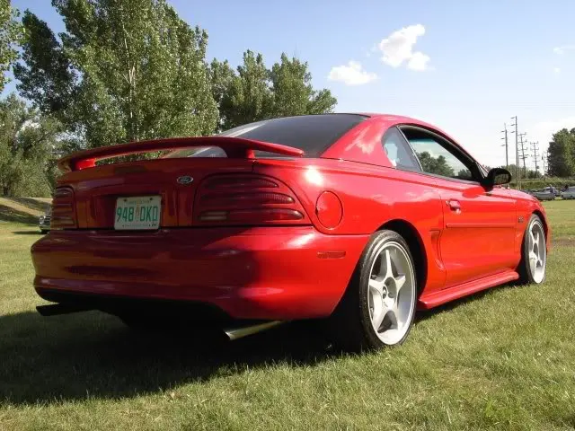 stang3.webp