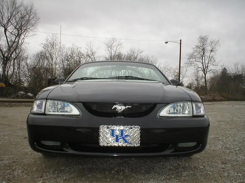 stang3.webp