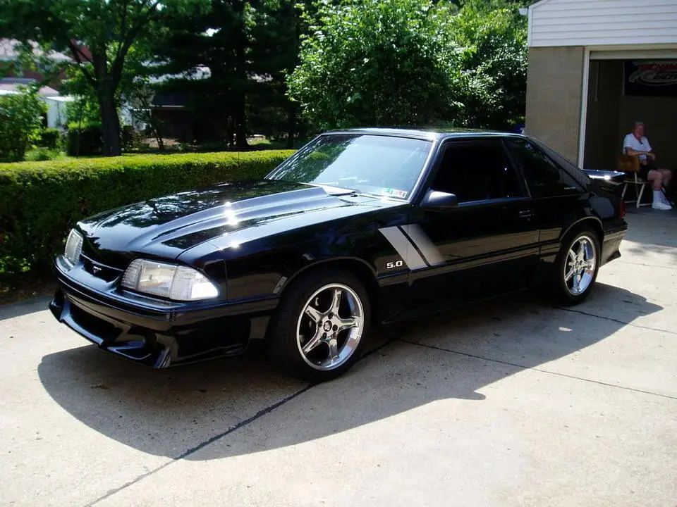 stang3.webp