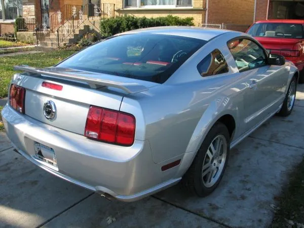 stang3.webp