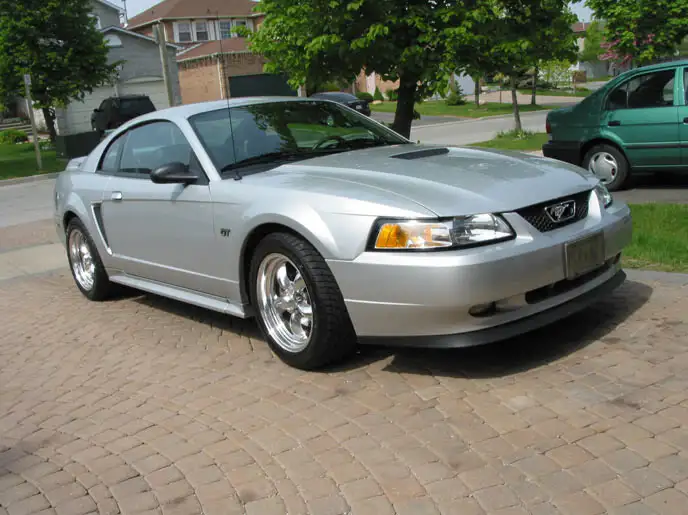 stang3.webp