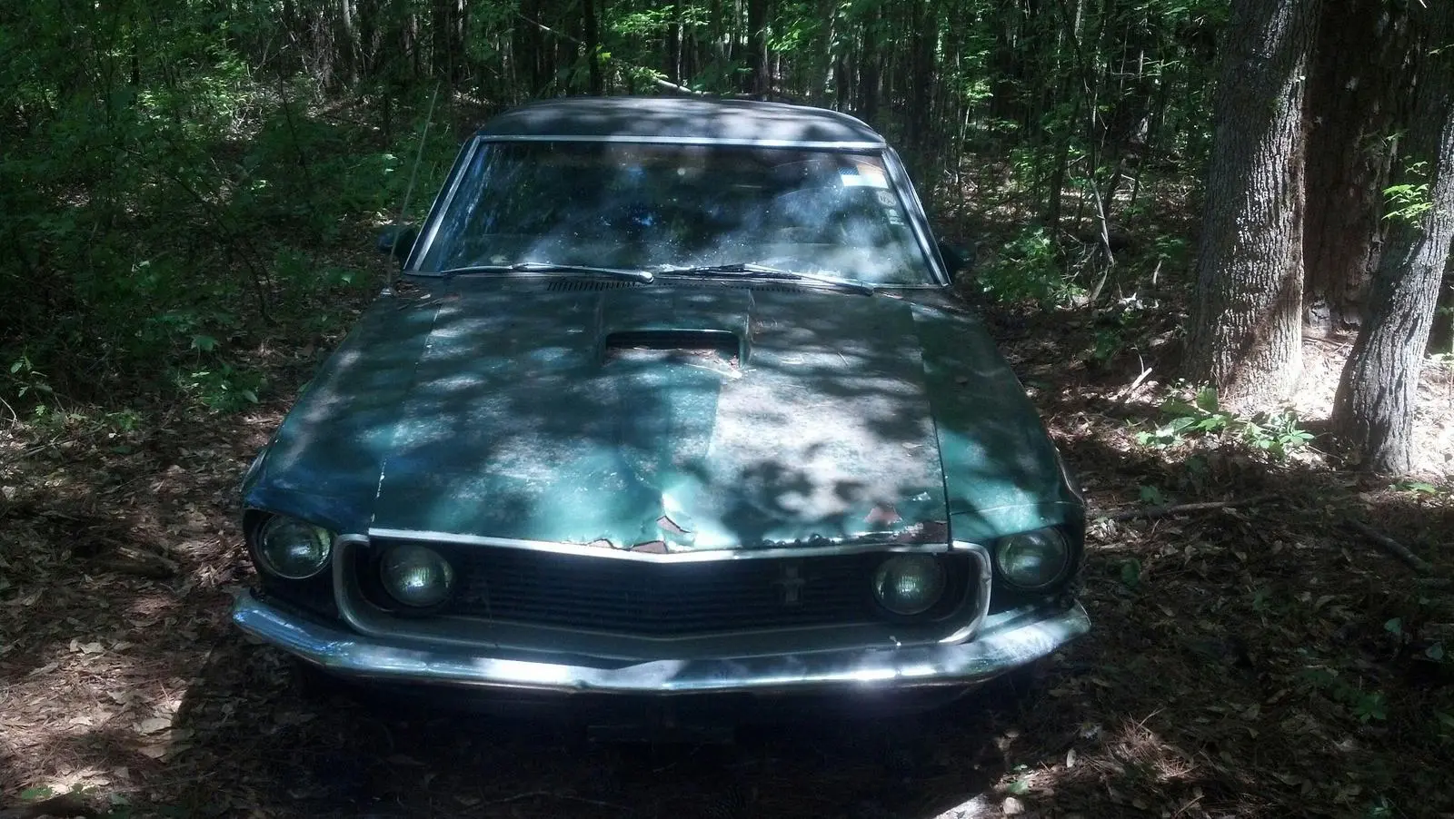 stang3.webp
