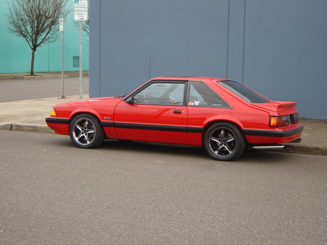 stang320+006.webp