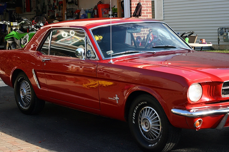 Stang3_800.webp
